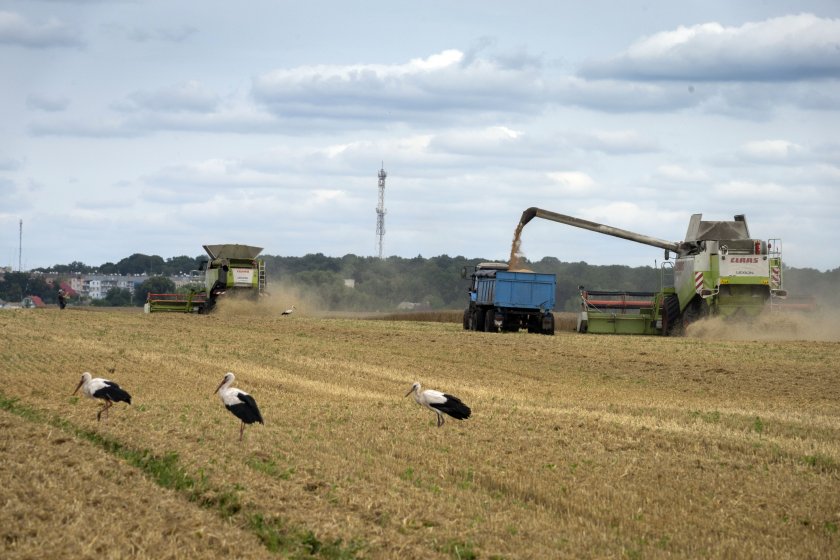 Край на зърнената сделка: Русия преустанови участието си в споразумението