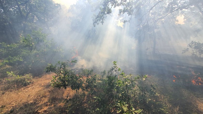 Пожарът край първомайското село Искра е локализиран напълно, съобщиха от