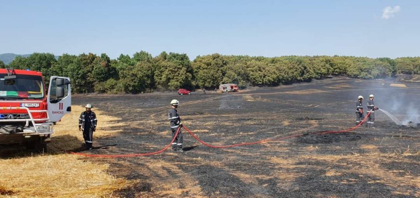 20 от българските пожарникари, които помагаха в гасенето на пожарите