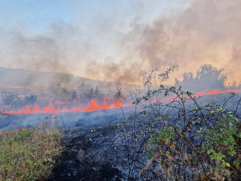 Нов пожар пламна в Пазарджишко (СНИМКИ)