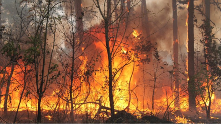 пожар турция навлезе българска територия