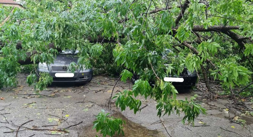 буря връхлетя симеоновград събори дървета коли