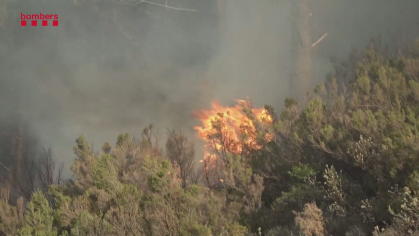 Мащабен горски пожар се разрази в Испания - близо до границата с Франция