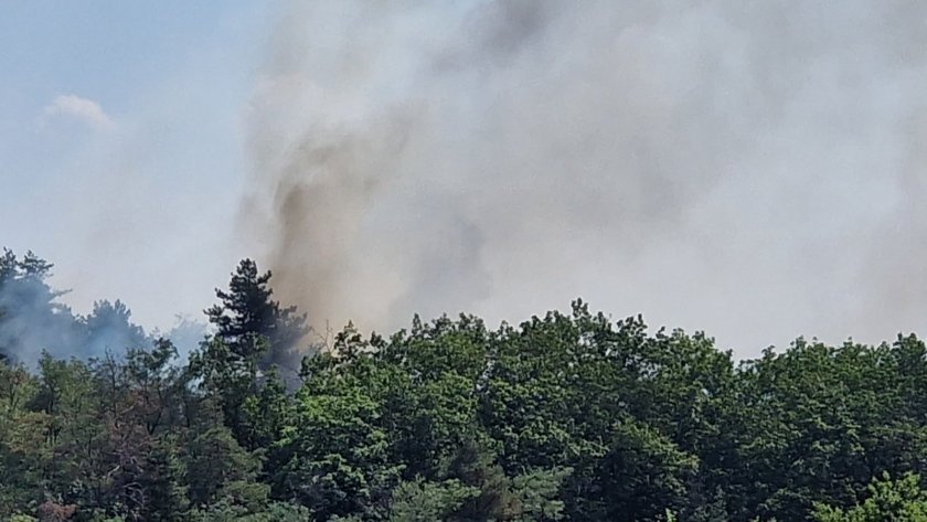 Пожар гори в парк ,,Тюлбето в Казанлък. Огънят е възникнал