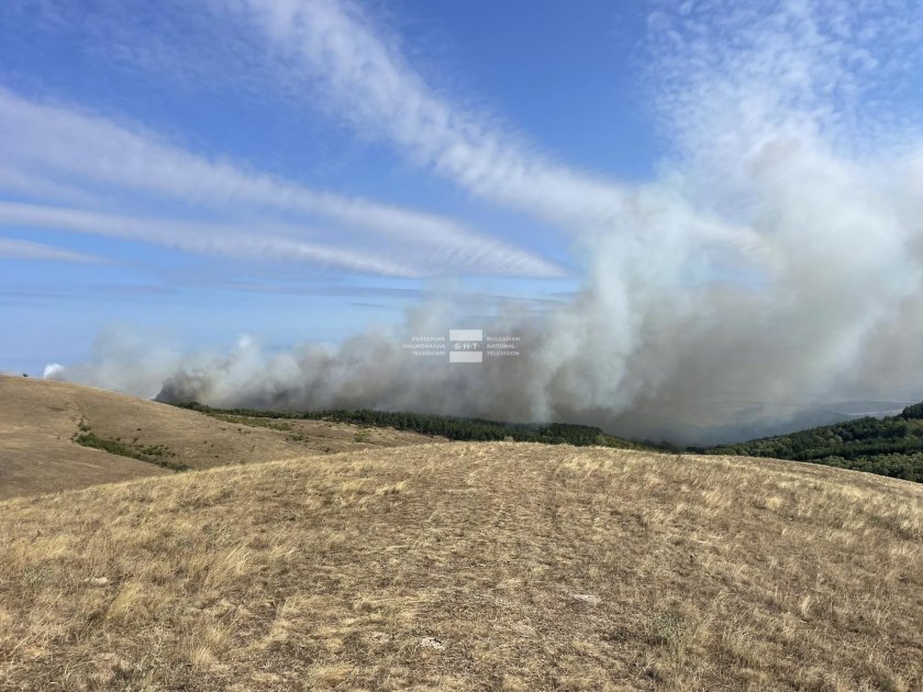 Голям пожар гори край три населени места в Бургаско. По