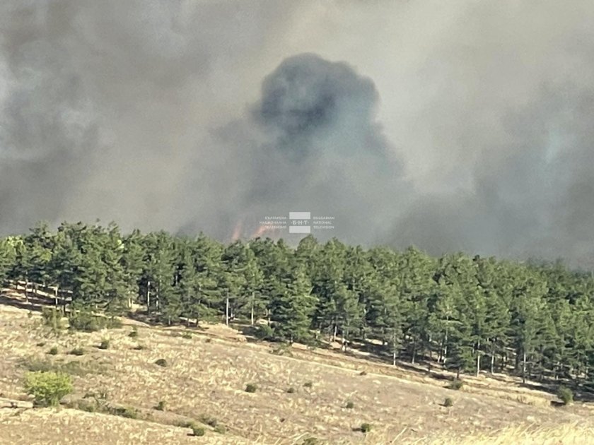 Големият пожар в Бургаско е локализиран