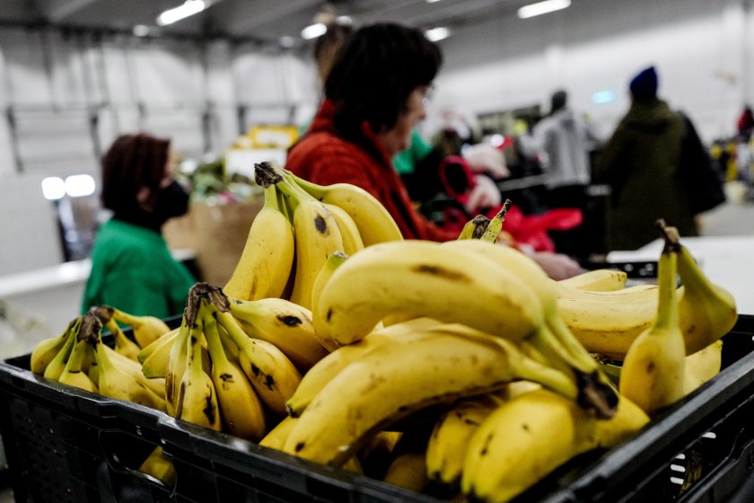 чешката полиция конфискува 600 кокаин скрит кашони банани