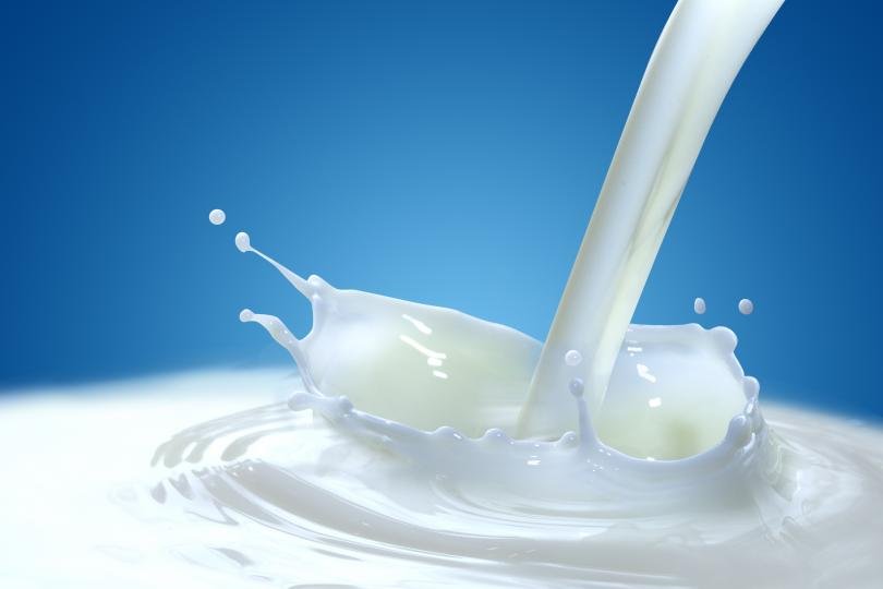 В цената на млечните продукти влизат няколко компонента – суровина,