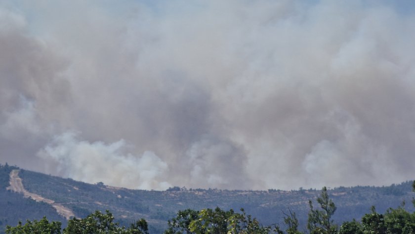 Продължават пожарите в Гърция. Поредният град обхванат от голям пожар
