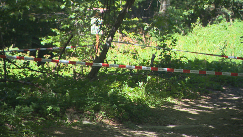 Експертизите вероятно ще бъдат ключови за разкриването на убийството на Алексей Петров