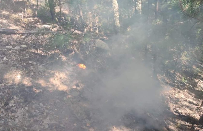 Локализиран е пожарът над село Бачково край Асеновград. Три часа