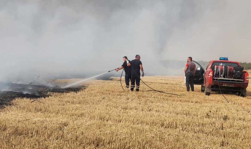 Пожарът, който възникна вчера в землищата на селата Филипово, Присадец,