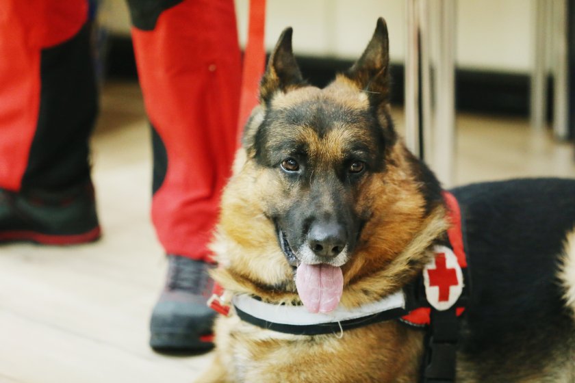 Трети ден продължава издирването на мъж и жена в Стара