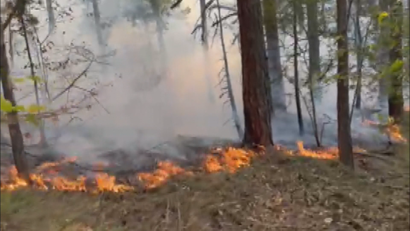 Продължава борбата с големия пожар между селата Присъдец, Маточина и