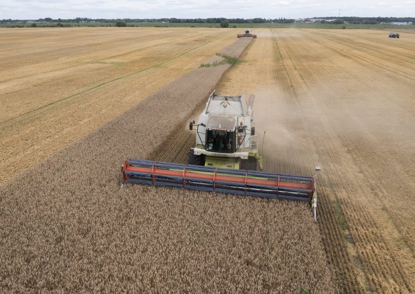 ЕК няма да удължи временните ограничения за земеделския внос от Украйна