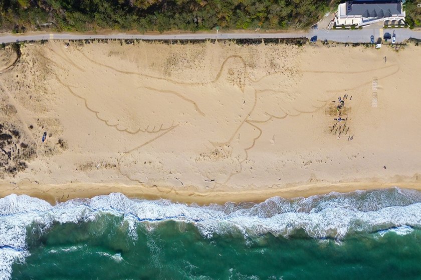 Огромна пясъчна фигура на гълъб изрисуваха на плажа в Камчия