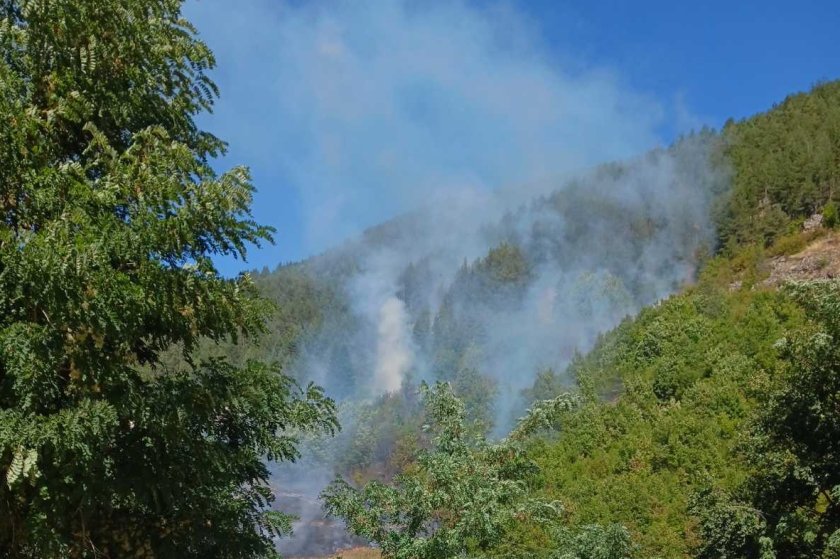 Пожар бушува в смесена гора край маданското село Върбина