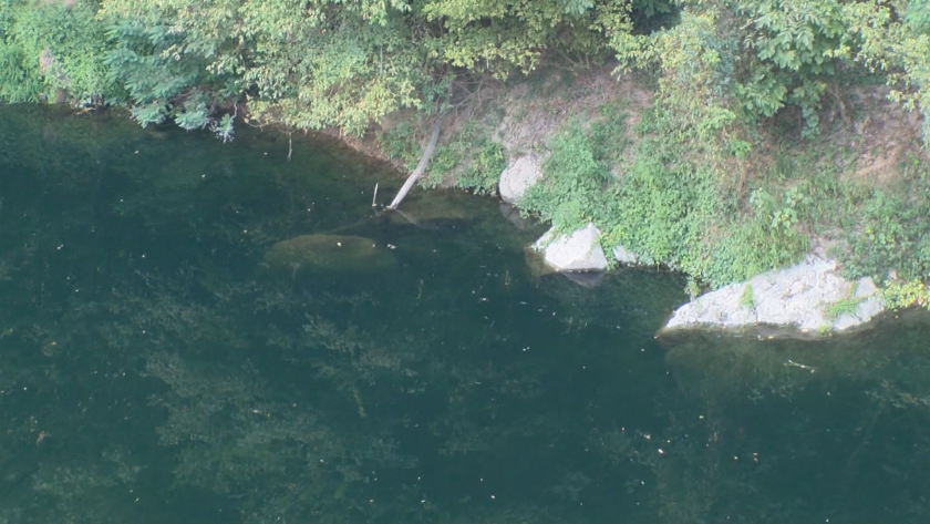 Синьо-зелен цвят на водата в река Янтра притесни сериозно жителите