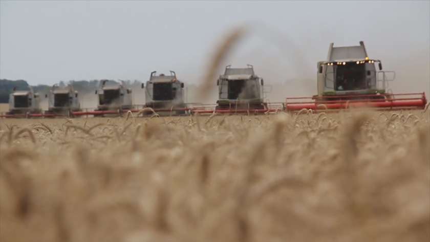 Субсидии за милиони: Какви са реалните приходи на зърнопроизводителите?