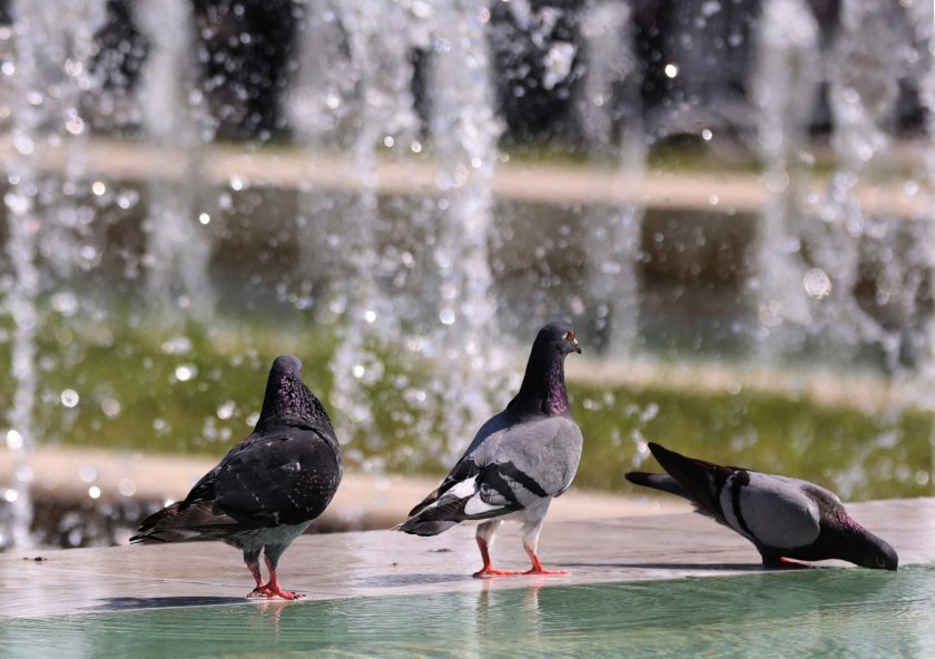 Слънчево ще се задържи днес и в следобедите часове. Повече
