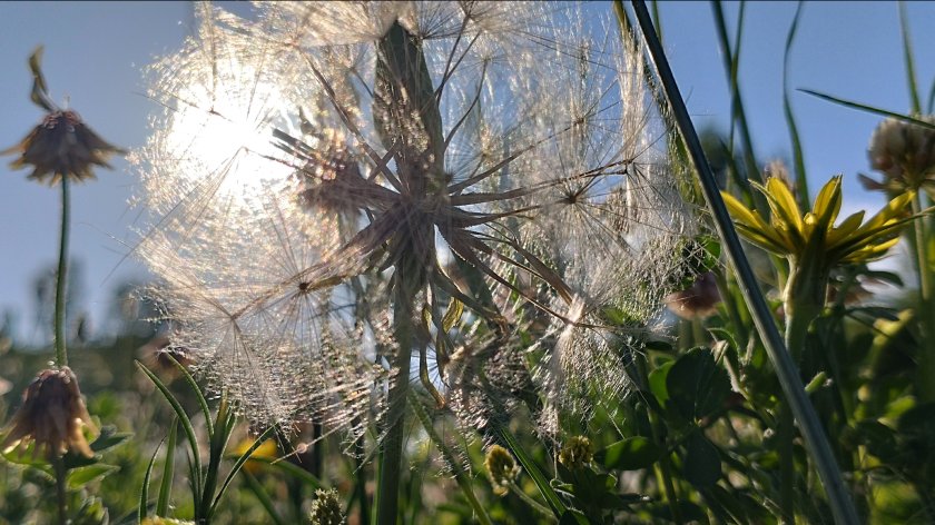 През нощта в западните райони, включително и в София, имаше