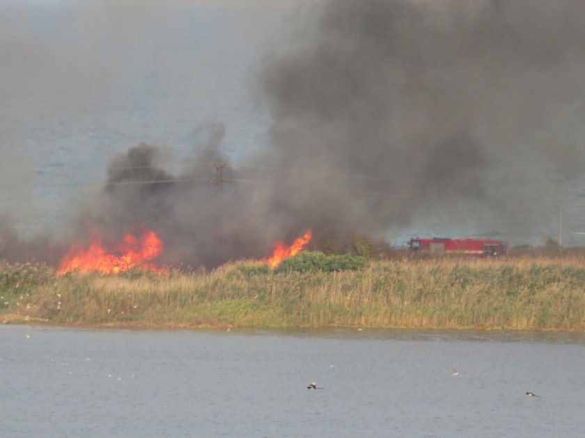 Голям пожар гори край Атанасовското езеро в Бургас. Сигнал за
