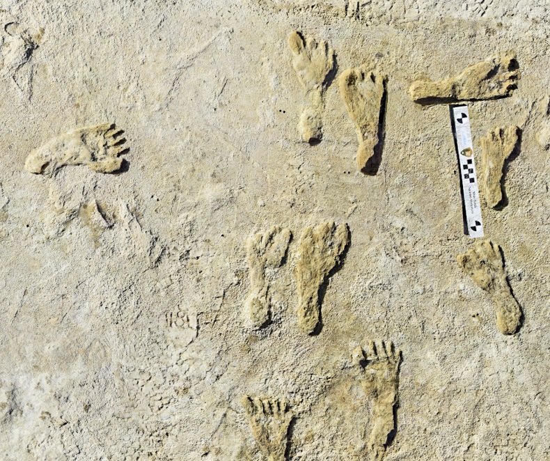 ели изследвания потвърдиха вкаменени отпечатъци човешки стъпки мексико праисторически