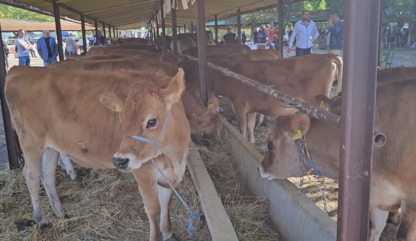 министерството земеделието насърчава общини развиващи животновъдството