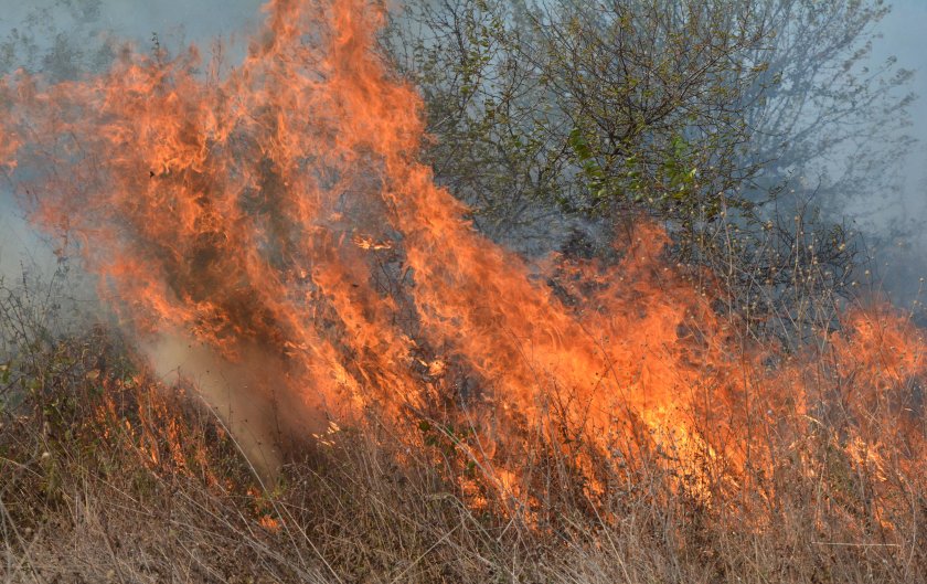 Пожар гори северно от военния полигон Тюлбето в Казанлък. Огънят