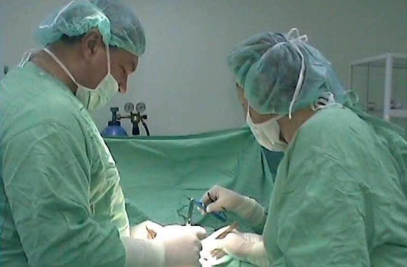 Лекари в Търговище спасиха живота на мъж с над двукилограмова кучешка тения в черния дроб