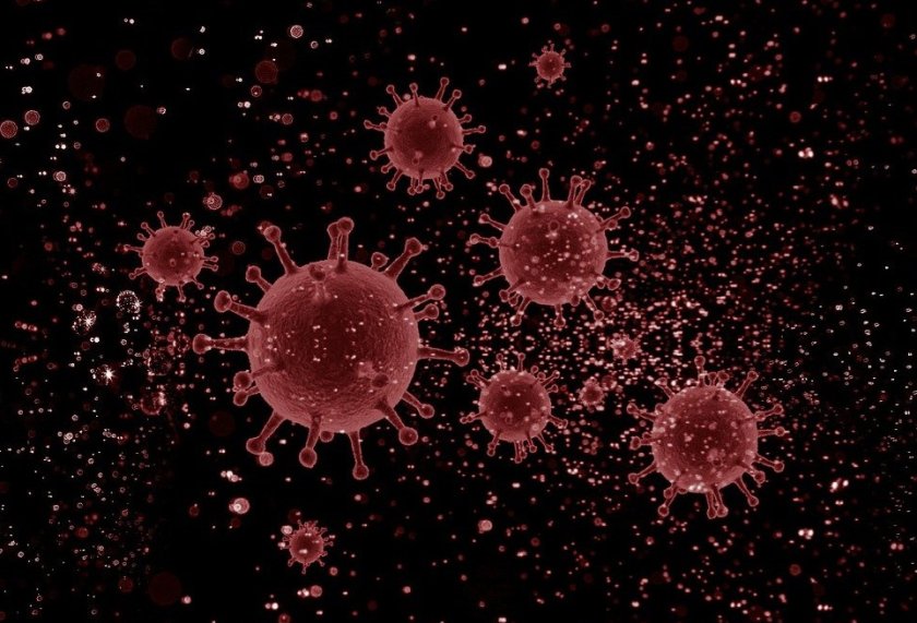 Новите случаи на коронавирус у нас за последното денонощие са 304