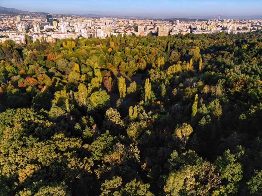 Минималните температури ще бъдат между 4° и 9°, в София