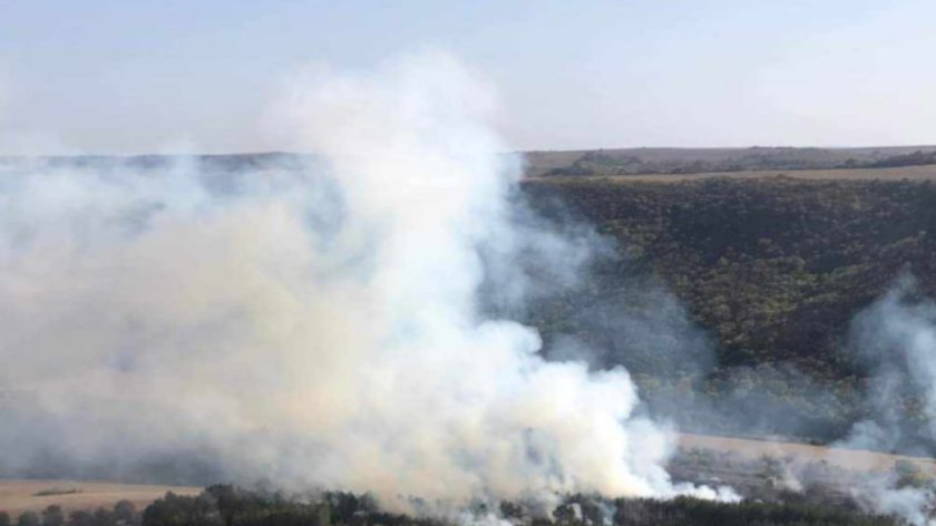 Пожарът, който възникна край село Невша в района на община