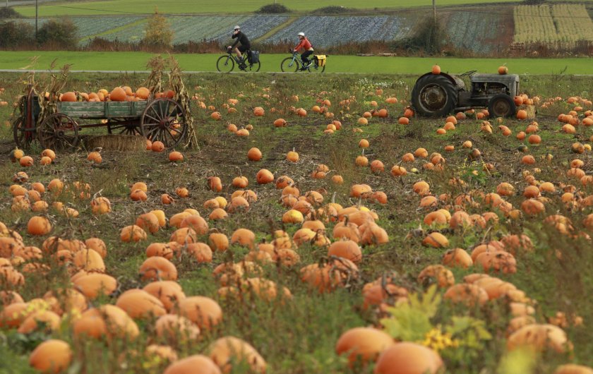 Хелоуин вече настъпи в парка Тиволи в датската столица Копенхаген.