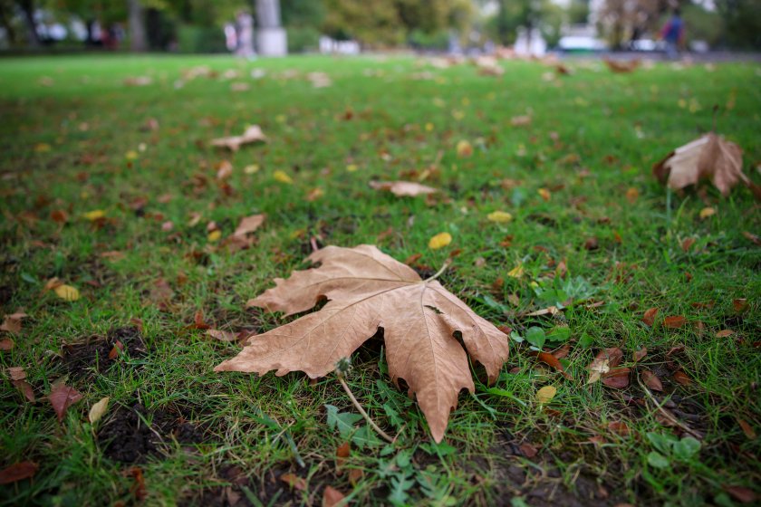 Минималните температури днес ще бъдат между 0° и 5°, по