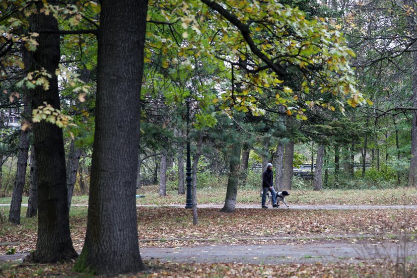 Днес максималните температури ще са между 10° и 15°, в
