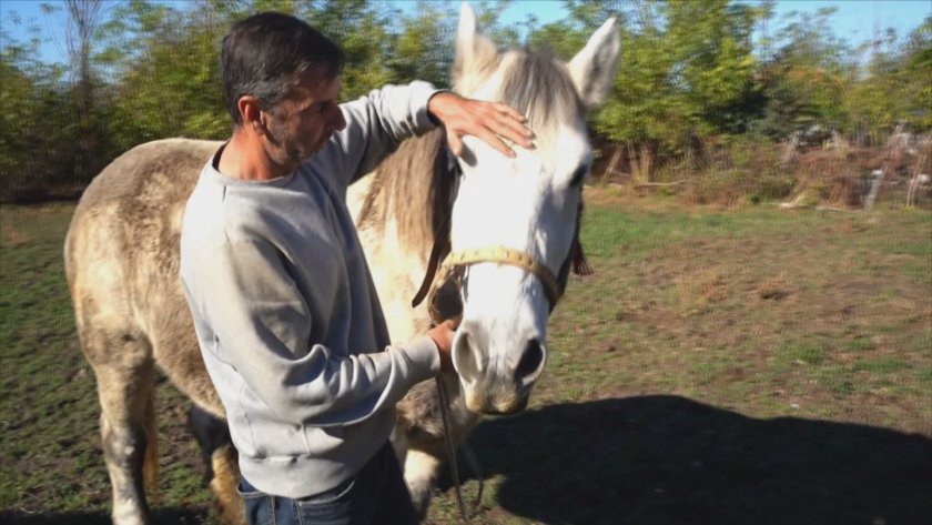 След репортаж на БНТ: Кобилата от село Разград получи шанс за втори живот
