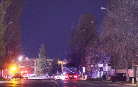 46 са сигналите за паднали дървета и клони в София