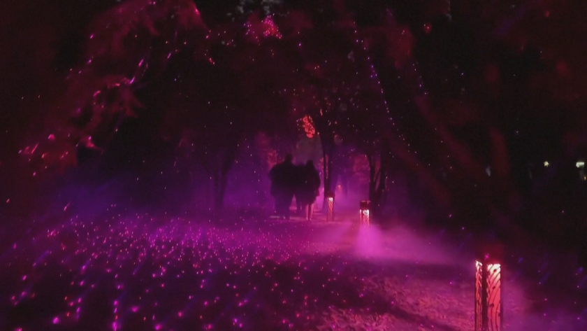 Разходка сред звездите: Арт инсталация в Кралската ботаническа градина в Ню Йорк