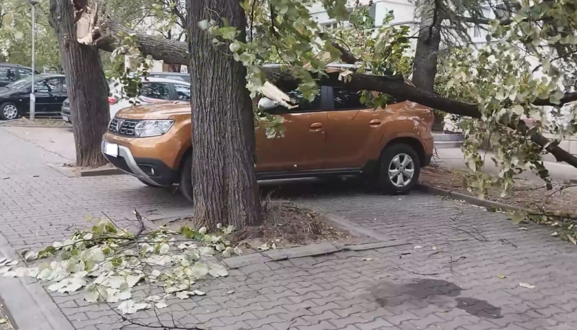 Заради силния вятър, дърво се стовари върху лек автомобил в