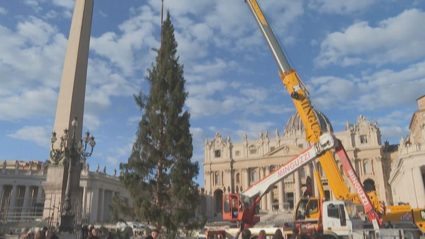 Месец преди Коледа на площад Свети Петър във Ватикана беше
