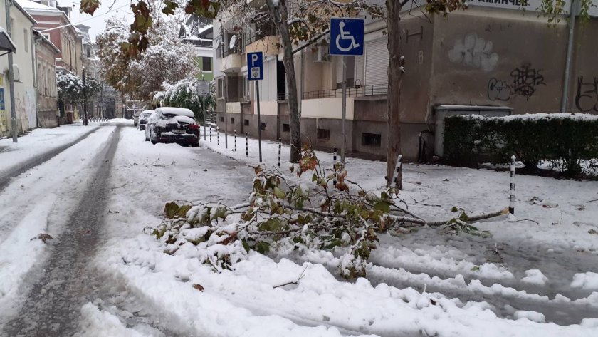 Всички главни пътища в посока Русе – от Велико Търново,