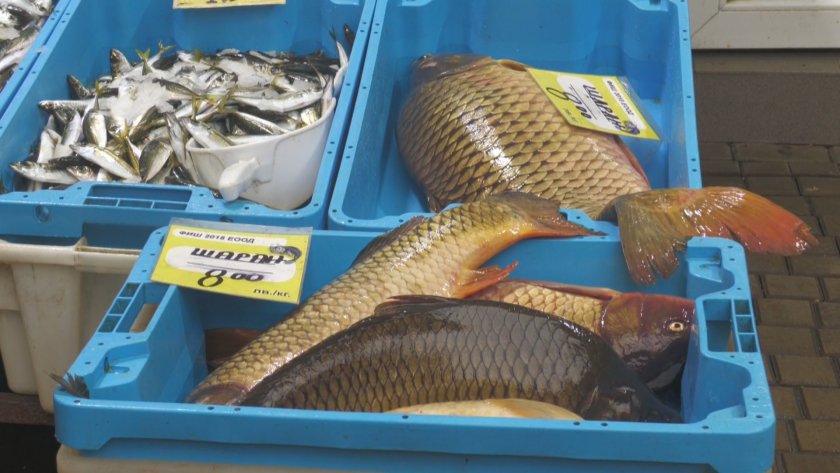 Преди Никулден: Започнаха проверки по рибните тържища