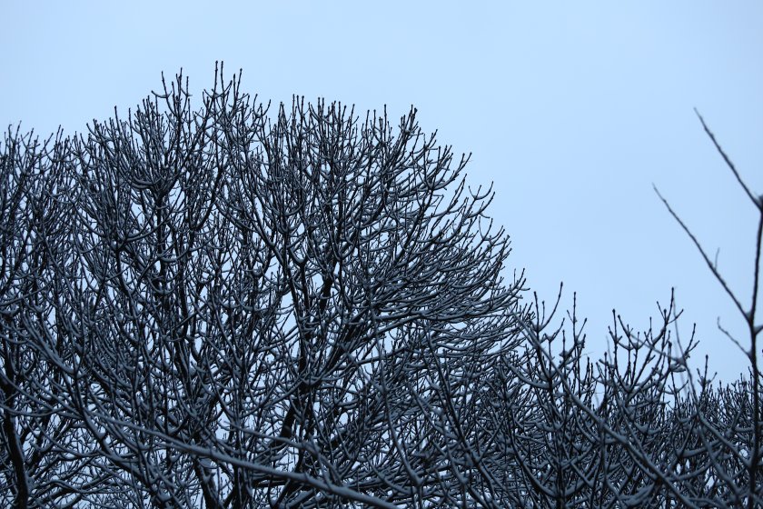 В почти цялата страна ще бъде ветровито, с умерен, в