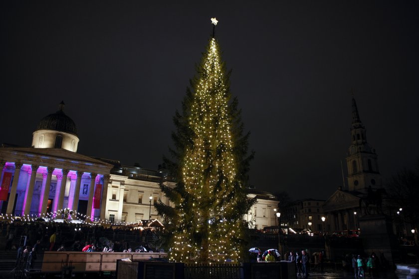 Грейнаха светлините на коледното дърво на централния лондонски площад Трафалгар.
