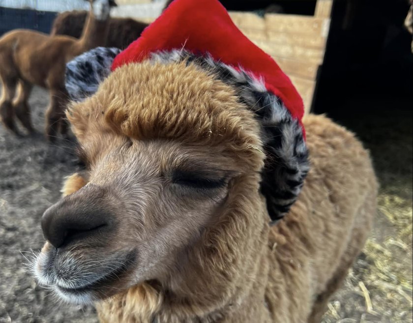 Животните на зоопарка в Бургас вече са готови да посрещнат