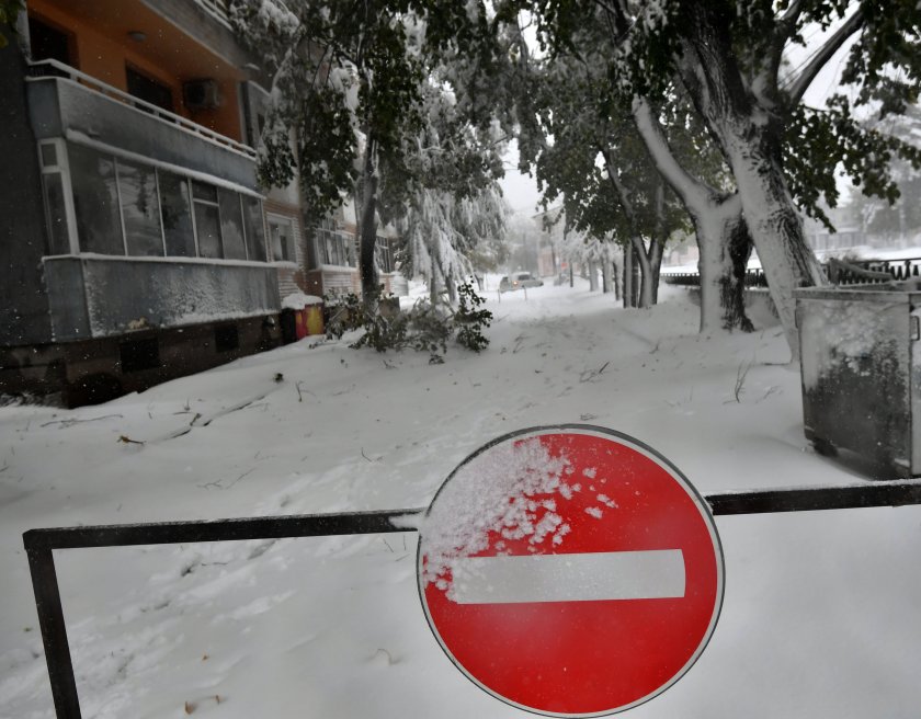 Инцидент беляза старта на зимния сезон в Банско. Дърво падна