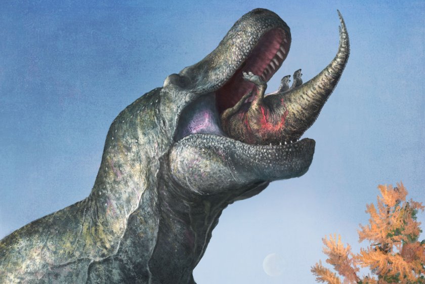 две бебета динозаври били последната храна тиранозавър млн години