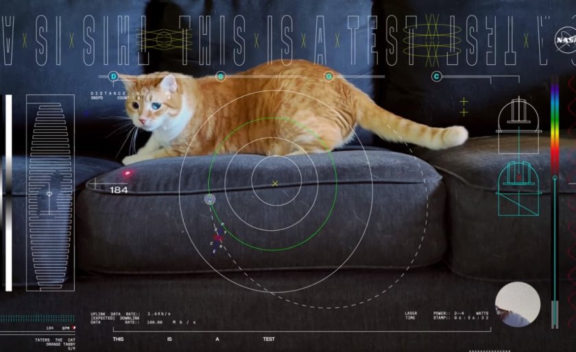 La NASA a diffusé une vidéo avec un chat venu de l'espace lointain – partout dans le monde et dans notre pays