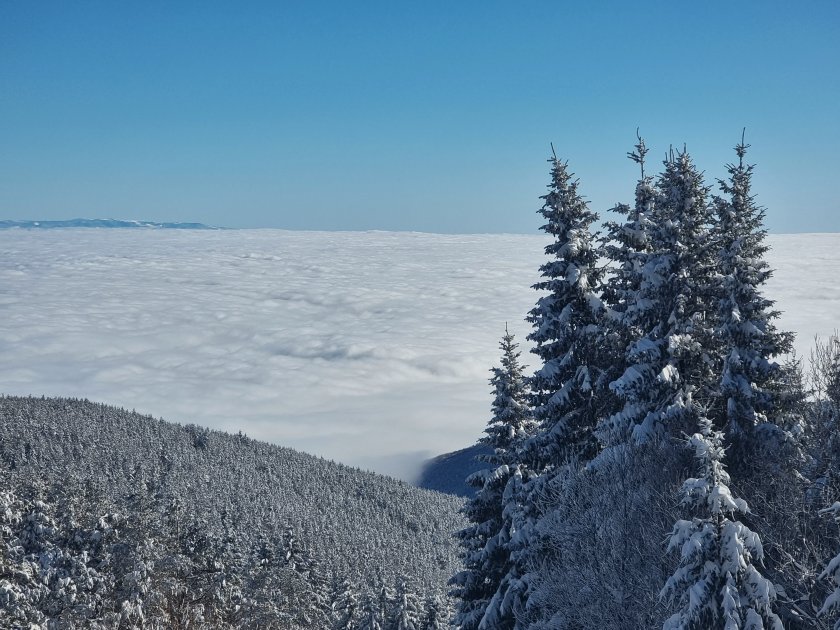 планини Рила Витоша Пирин Стара планина